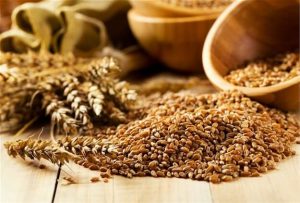 wheat tariffs south africa
