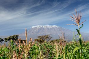 pakhouse-grain-production-in-sub-saharan-africa