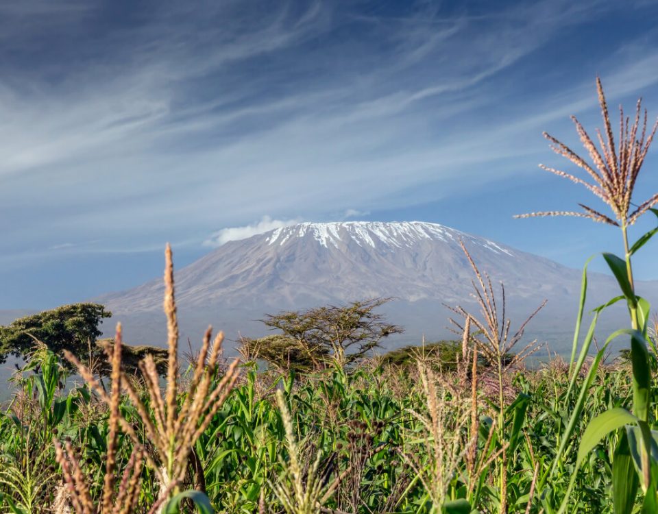 pakhouse-grain-production-in-sub-saharan-africa