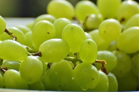 Pakhouse-Table-Grapes-South-Africa