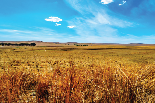 Pakhouse-Agriculture-South-Africa