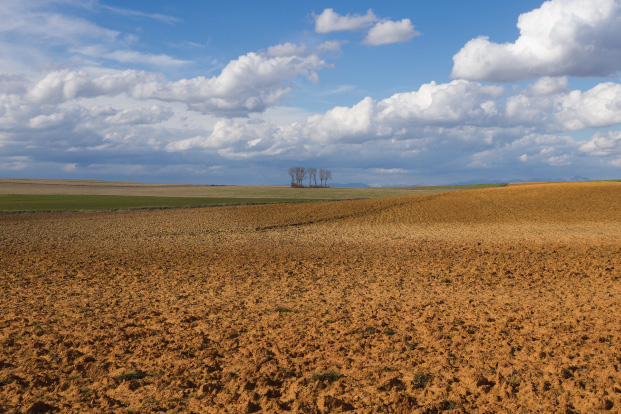 Pakhouse-agribusiness